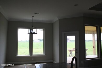 IMG_9290