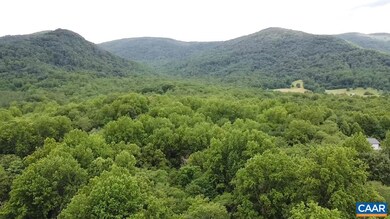 7000 Blackwells Hollow Rd, Crozet, VA 22932 - photo 5