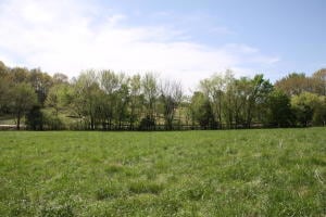 Tract 1 Bunker Rd, Harrison, AR 72601 - photo 7