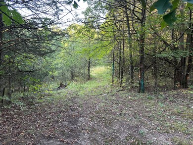 7 acres in Walnut Shade, MO