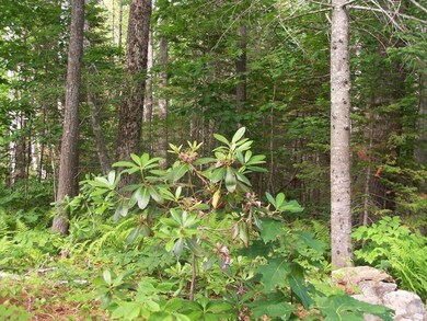 0 Townsend Ln unit 1226135, Boothbay, ME 04537 - photo 2