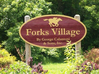 895 Fieldstone Trail, Easton, PA 18040 - photo 4