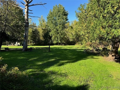 Beautiful yard - 99' x 264'
