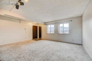 Unfurnished living room featuring carpet floors, a