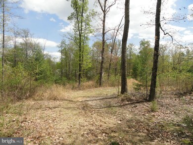 0 Meander Run Rd unit 1000402039, Madison, VA 22727 - photo 2