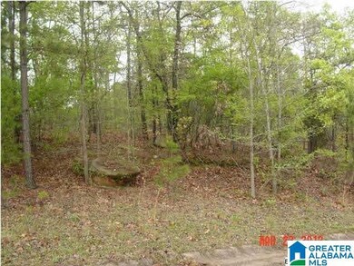 000 Timothy Dr, Oxford, AL 36203 - photo 7