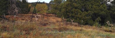 985 Navajo Trail, Show Low, AZ 85901 - photo 2