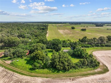 21500 SW 33rd St, Dunnellon, FL 34431 - photo 5