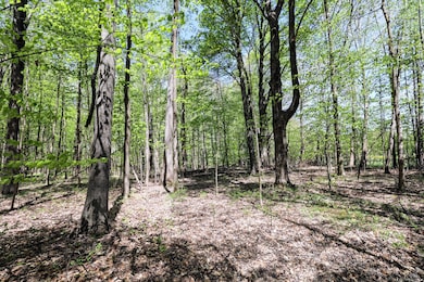 VL, Grand Junction, MI 49056 - photo 3