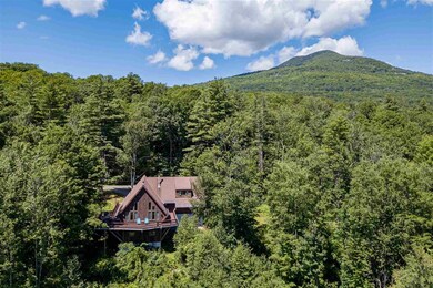 522 Read Farm Ln, Dorset, VT 05253 - photo 6