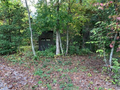 43.93 Ac Thomas Springs Rd, Crossville, TN 38572 - photo 7