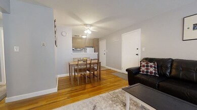 41 Warren St unit 1-1, Waltham, MA 02453 - photo 3