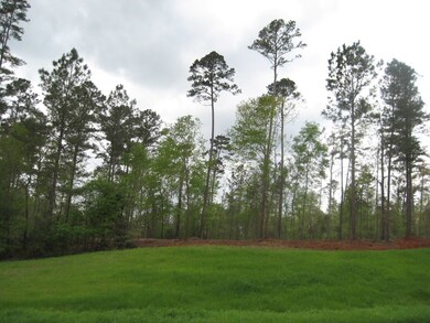 5.49 ac Farm To Market 225, Nacogdoches, TX 75964 - photo 2