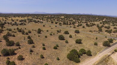 DJI_0008