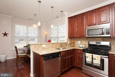 15 Old Cedarbrook Rd unit 101, Wyncote, PA 19095 - photo 7