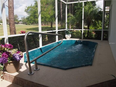 Inground  Swim Spa