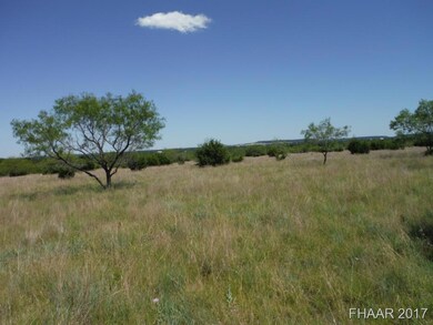 Tract 15 Private Road 3642, Copperas Cove, TX 76522 - photo 2