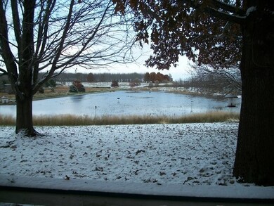 20242 1650 East St, Princeton, IL 61356 - photo 7