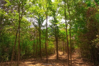 12524 Red Hill Rd, Hearne, TX 77859 - photo 7