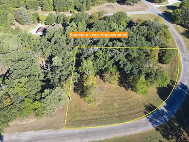 Lot 65 Sombrilla Ln, Kerens, TX 75144 - photo 4