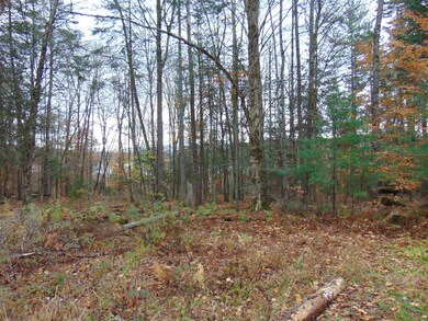 000 Old County Rd, Waterford, VT 05848 - photo 3