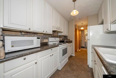 13221 Glenn St unit 4B, Omaha, NE 68138 - photo 7
