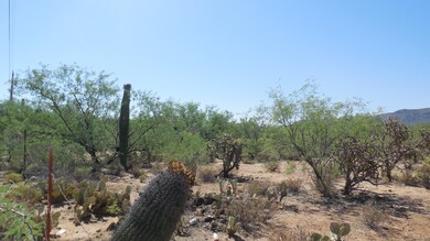 DSCN4012