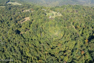 8111 White Oak Flatt Rd, Sparta, TN 38583 - photo 4