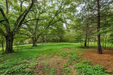 0 Creekview Dr unit 69800, Madison, GA 30650 - photo 2