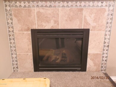 Gas Fireplace with blower