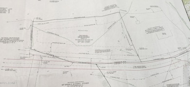 Survey Close up