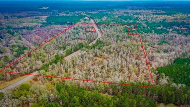 0 Hwy 24 East 76 Acres, Prescott, AR 71857 - photo 4