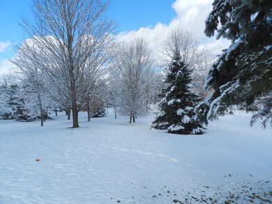 6837 Ivanrest Ave SW, Byron Center, MI 49315 - photo 4