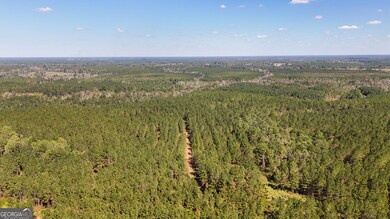 0 W 4th Street Extension unit 10650393, Alma, GA 31510 - photo 5