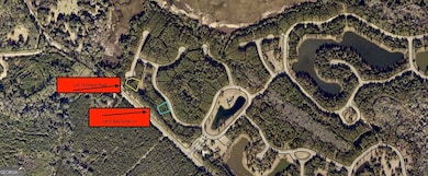 LOT 13 Grays Reef Ct, Waverly, GA 31565 - photo 3