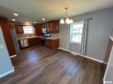 619 N Hamilton St, Lincoln, IL 62656 - photo 6