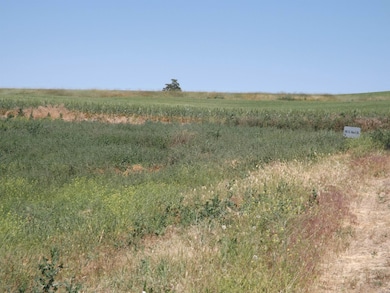 xxx E A St, Rosalia, WA 99170 - photo 5