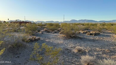 IMG_1355
