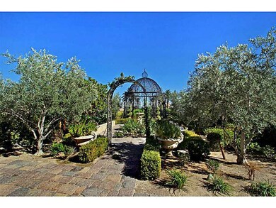 Yard/Garden.