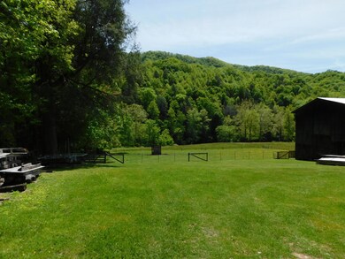 Field