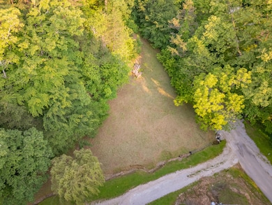 DJI_0313