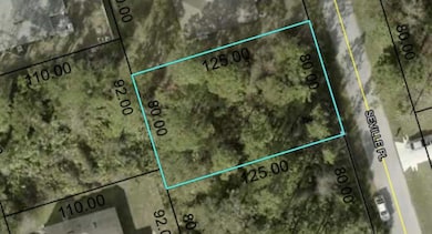 7 Seville Place, Palm Coast, FL 32164 - photo 3