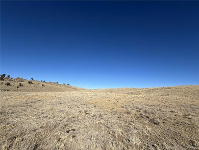 2665 Caddo Rd unit 3284, Hartsel, CO 80449 - photo 4