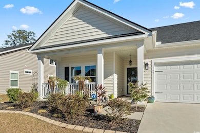 199 Empyrean Cir, Myrtle Beach, SC 29588 - photo 3