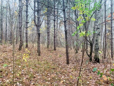 0 28th St unit 1537139, Chetek, WI 54728 - photo 7