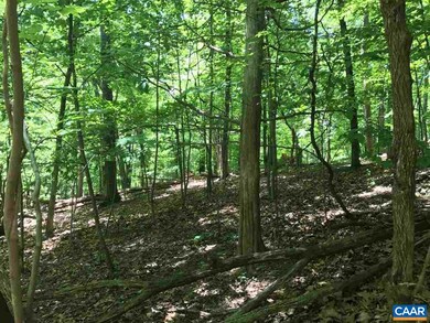 458 Stone Chimneys Rd unit I11-1D, Nellysford, VA 22958 - photo 3