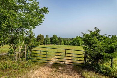 0 Cr 345 unit 25007450, Winona, TX 75792 - photo 3