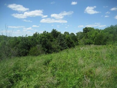 IMG_0429 (Small)