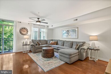 6327 Stevenson Ave unit D, Alexandria, VA 22304 - photo 3