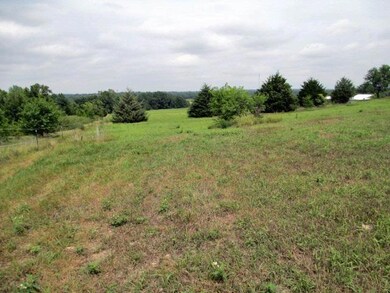 Trees on Property